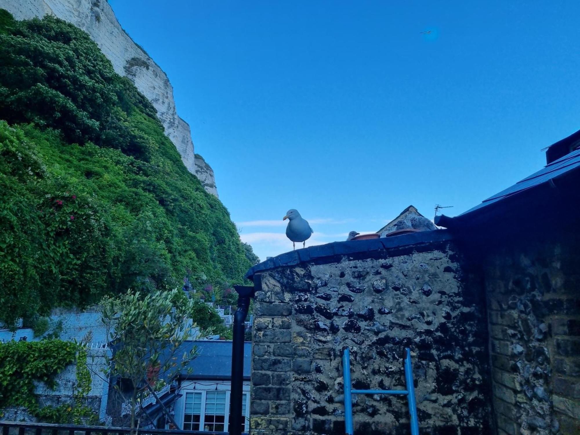 First And Last Youth Hostel دوفر المظهر الخارجي الصورة